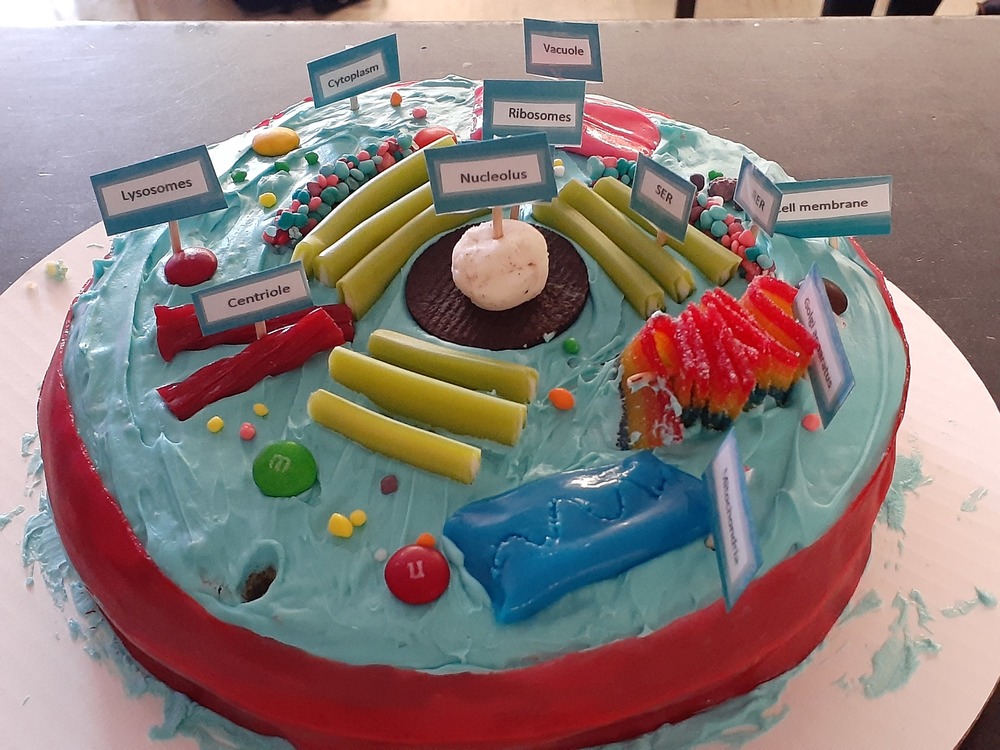 picture of a cellular cake